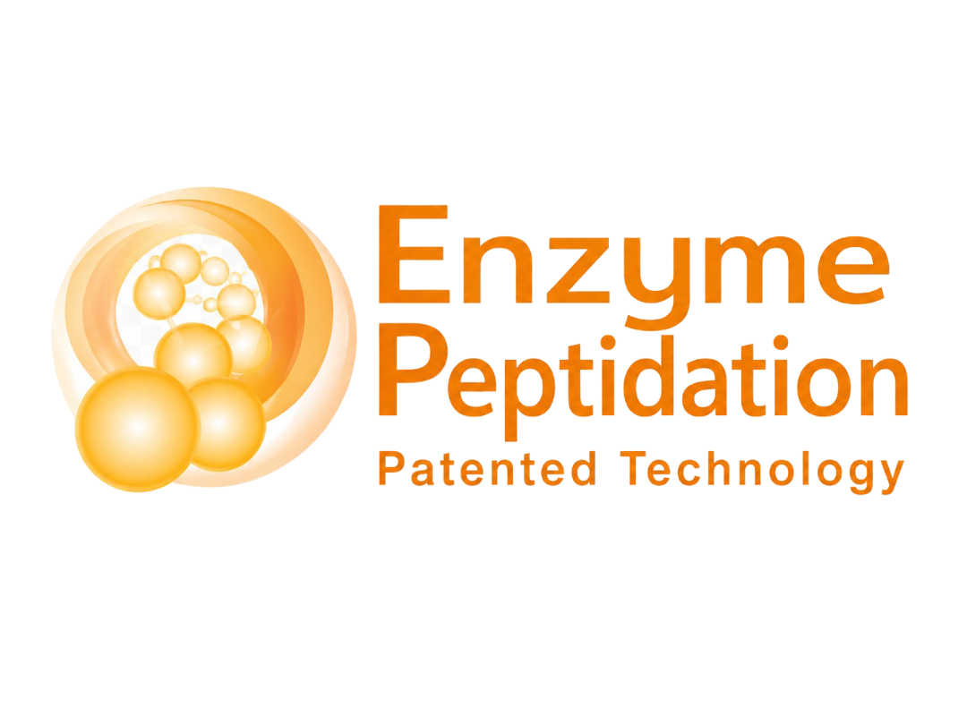 Enzyme peptidation and protein enzymolysis technology